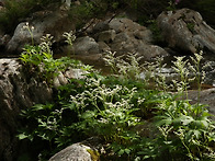 좋은 말의 독선