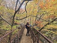 26.10.17(토) ㅡ오대산(노..