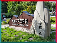 【독자 반응】 윤승원 수필..