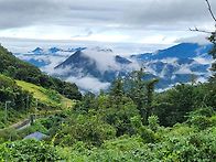 3백평(9천만원)분할매매(..