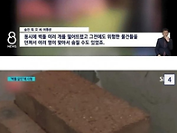 중국, 32층에서 벽돌 던진..