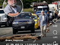 남에게 피해주던 , 시위 ..