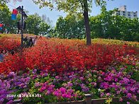 경기 수리산(25년 4월26..