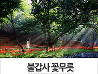 &hearts;704차 9월 13..