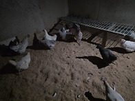 이노무 시키들 되..