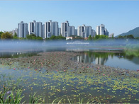 양산 워터파크의 소경