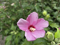 북악산(산행이 주..