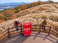 명 성 산