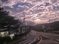 명성산 억세꽃,단..