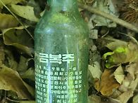 가지더부살이 산행
