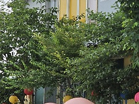 불켜기