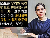 안성브니엘교회와 강남하늘..