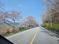 서부지부 4월 조행기