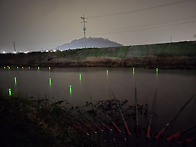 동부지부 4월정출 조행기