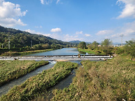 공주 정안천 간단 조행기