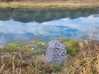 황룡강에서.....