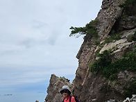 서산 황금산(202..