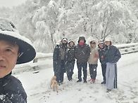 정선 미락숲-3월 정기모임..