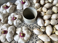 간단하게 만든 산목련(신이..