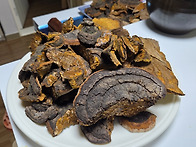 저번주 주말산행입니다