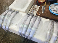 갈치조림. ?