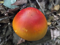 그냥 산에 갔다왔어요