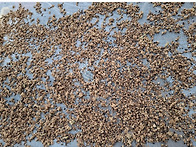 비파꽃 차 말들었어요