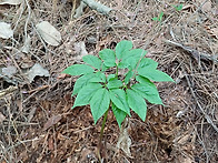 25년 4회차 산행기 입니다..