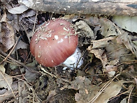 9/15일 오지산행 첫날