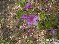 사부작 사부작... 3