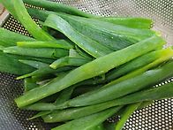 대파 부침