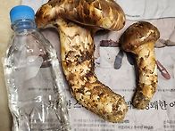 2시간 산행에서