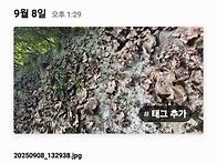 석이버섯 산행기이~