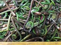 울동네 앞산