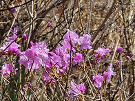 2026용마산시산제