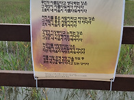 환상 - 민경은/ 갈대밭을 ..
