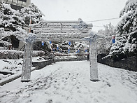 용안수계양산 첫 눈 눈꽃산..