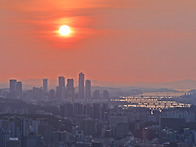 구룡산 2026-06..