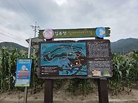 춘천 금병산 벙개산행