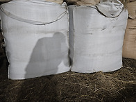 수입톱밥 3빽 팝니..