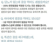 농직영햇꿀 화분 ..