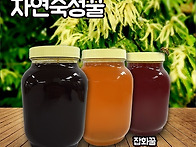 농직영 햇꿀 화분..