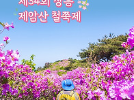 제34회 장흥 제암산철쭉제