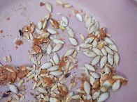 토요일 씨앗종자 꺼내서 ..