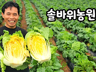 아주 오랜만에 곧은터에 ..