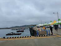 당진 장고항 실치축제...