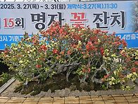 사랑하며 살아요.