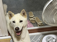 밖은 더워요