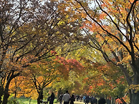 고창 선운사