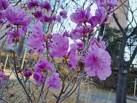 운전면허 갱신